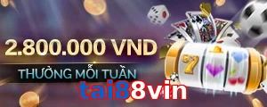 tai88vin